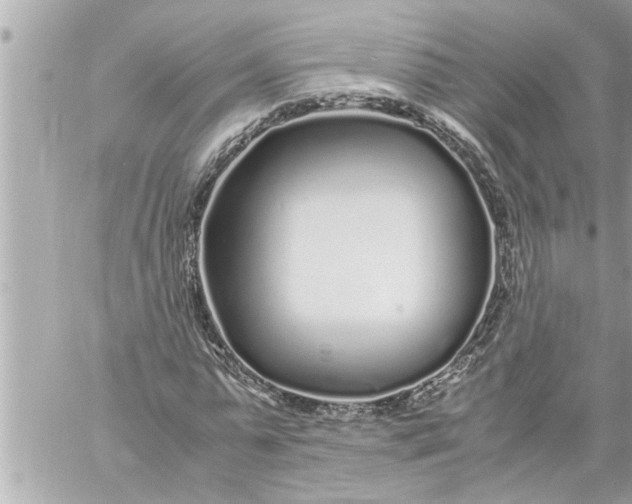 X0000059850775200511111810