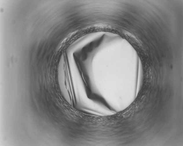 X0000059850776200511111810