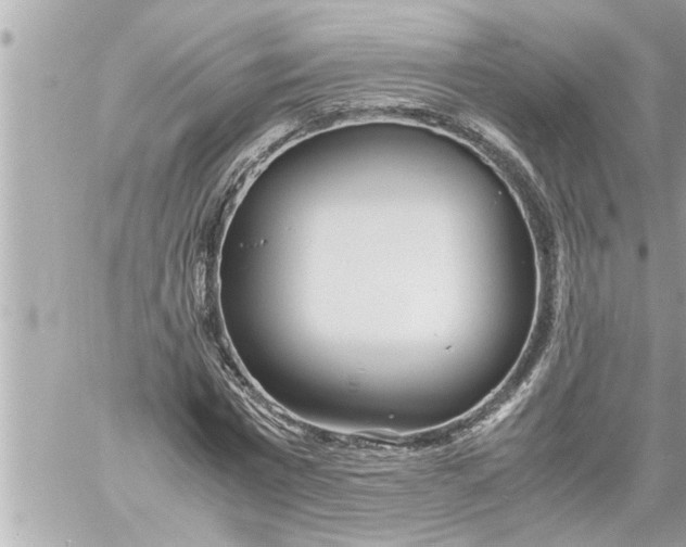 X0000059850777200511111810