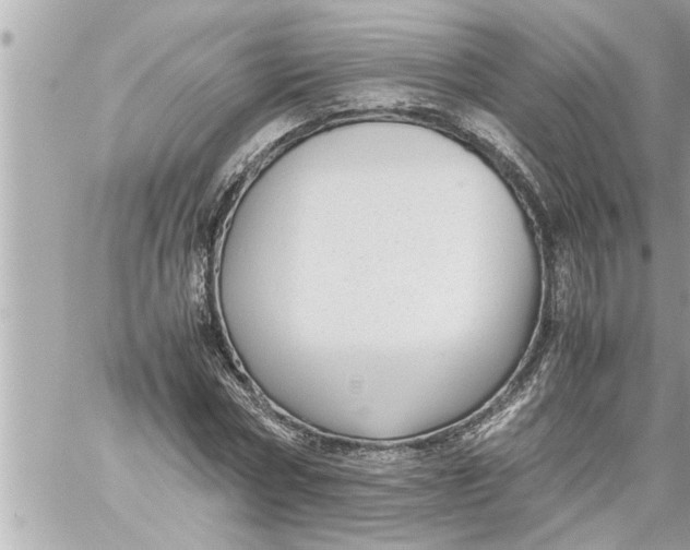 X0000059850778200511111810