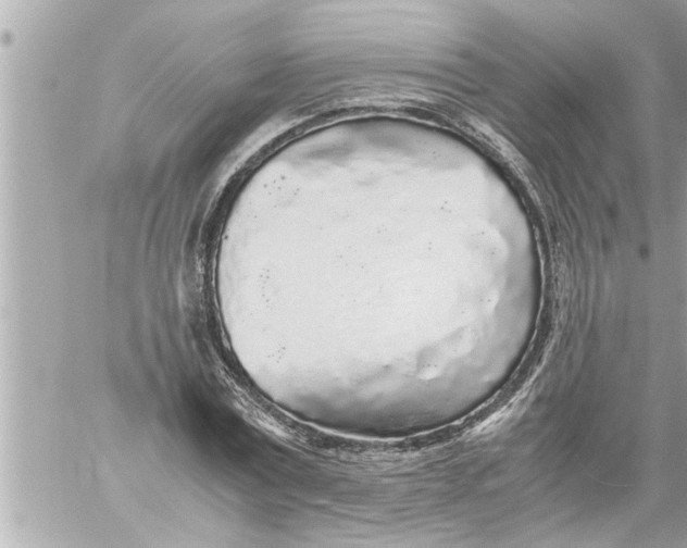 X0000059850779200511111810