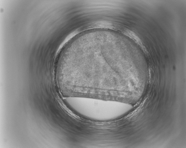 X0000059850780200511111810