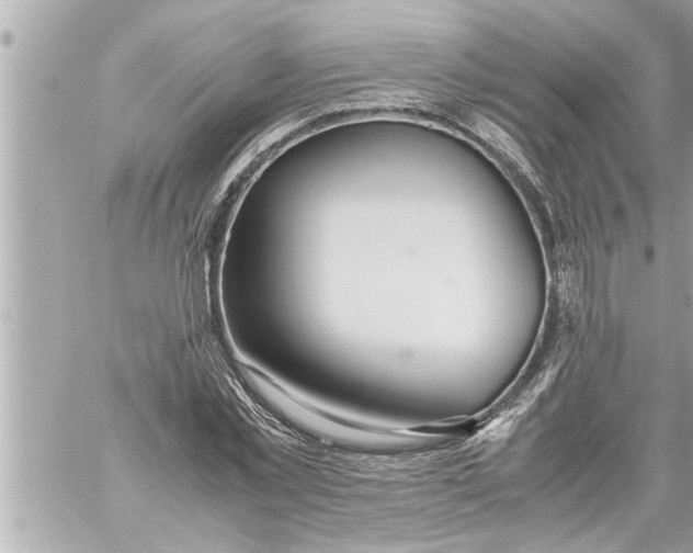 X0000059850781200511111810