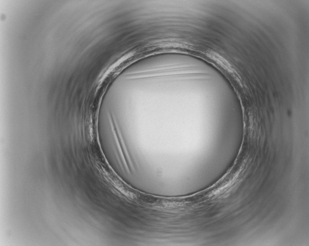 X0000059850782200511111810