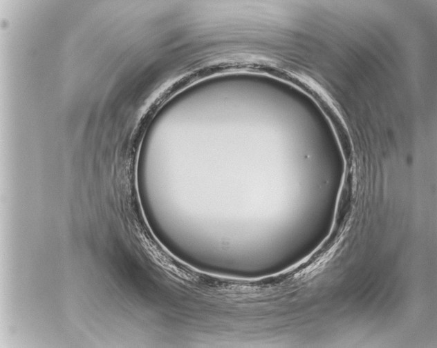 X0000059850783200511111810