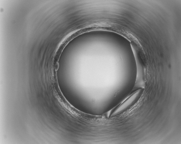 X0000059850784200511111810