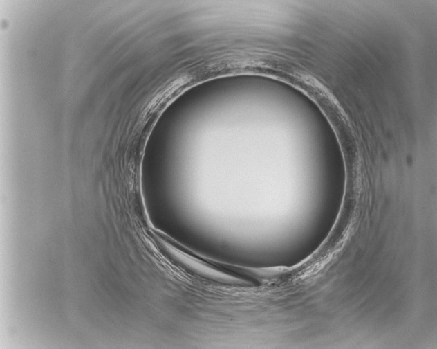 X0000059850785200511111810