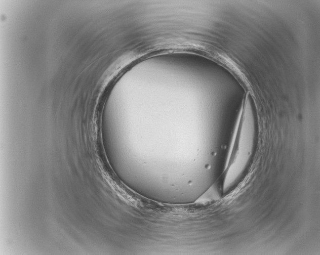 X0000059850787200511111810