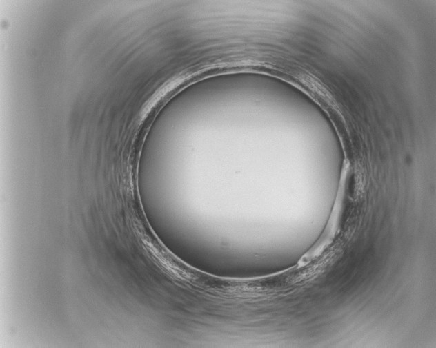 X0000059850789200511111810