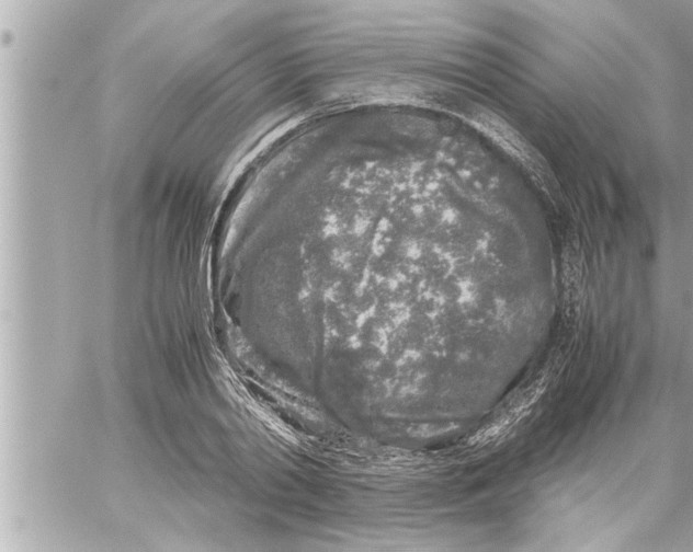 X0000059850790200511111810