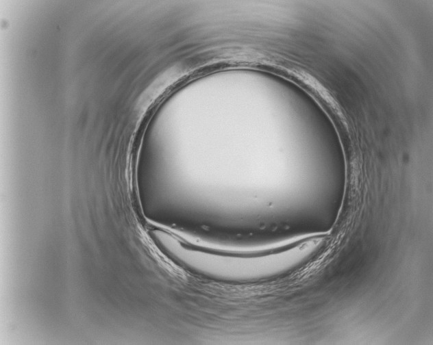 X0000059850791200511111810