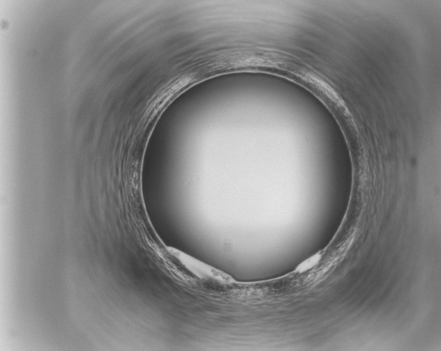 X0000059850793200511111810