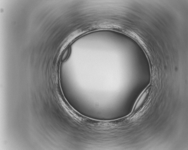 X0000059850795200511111810