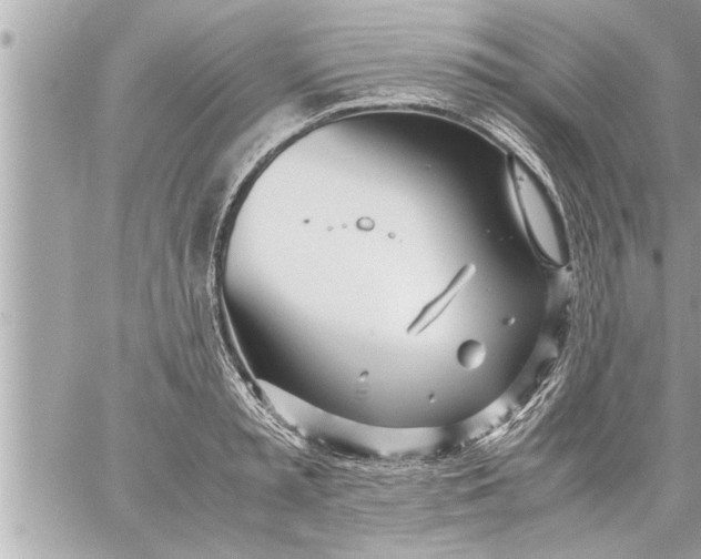 X0000059850797200511111810