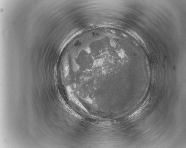 X0000059850798200511111810