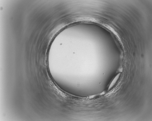 X0000059850799200511111810