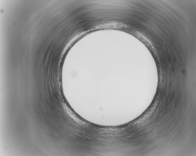 X0000059850800200511111809