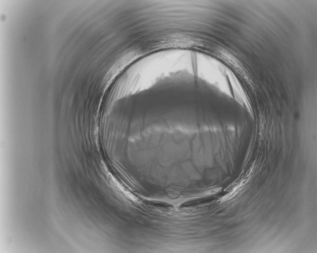 X0000059850802200511111809