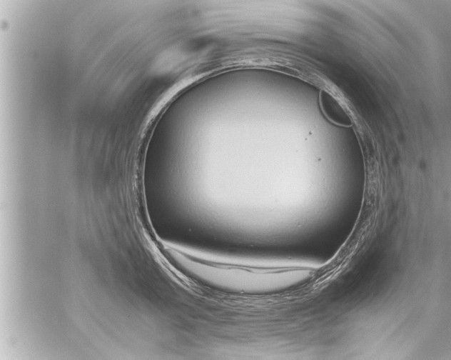 X0000059850803200511111809