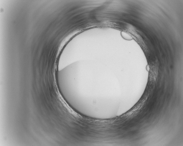 X0000059850804200511111809