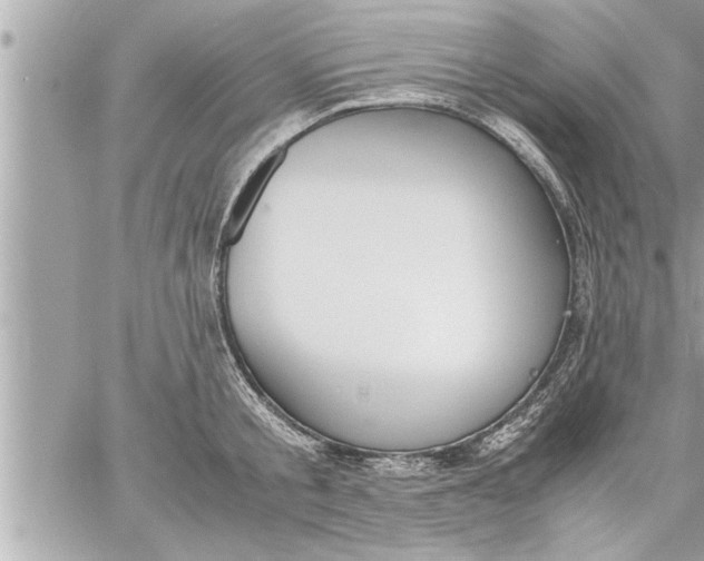 X0000059850805200511111809