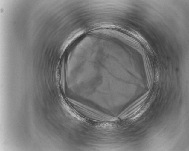 X0000059850806200511111809