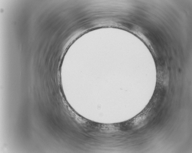 X0000059850807200511111809