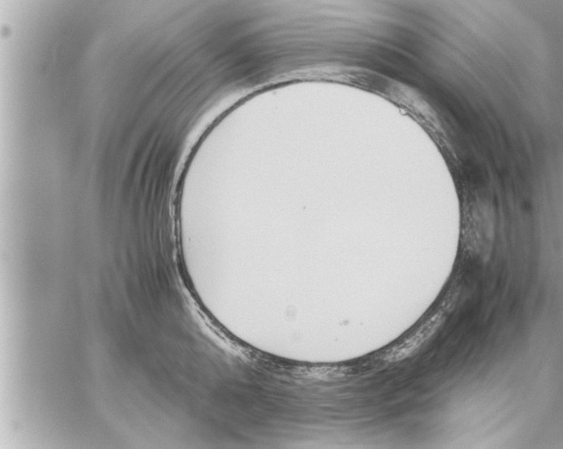 X0000059850808200511111809