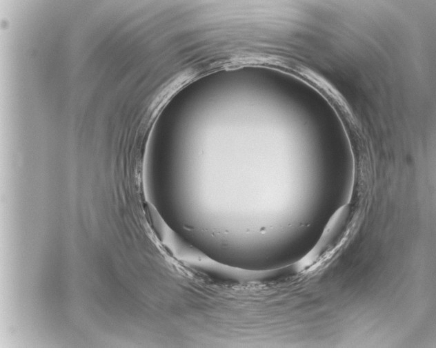 X0000059850809200511111809