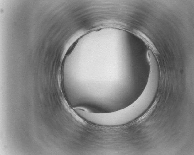 X0000059850812200511111809