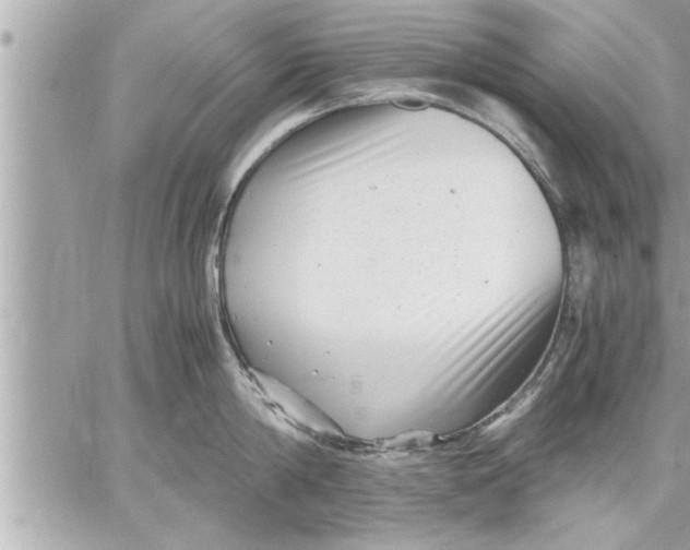 X0000059850814200511111809