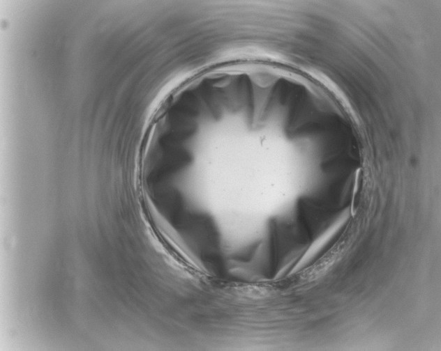 X0000059850815200511111809