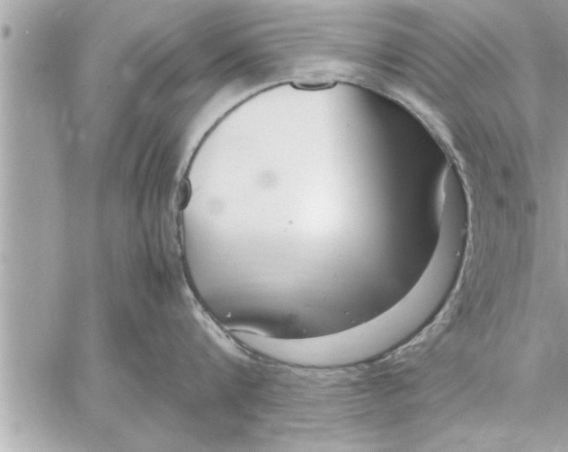 X0000059850816200511111809