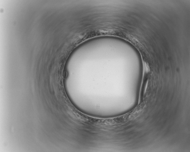 X0000059850817200511111808