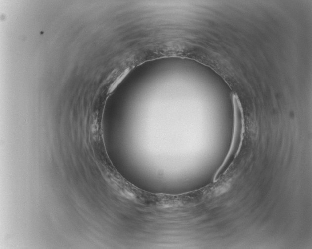 X0000059850818200511111808