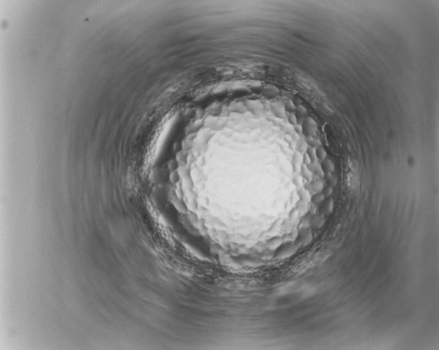 X0000059850819200511111808