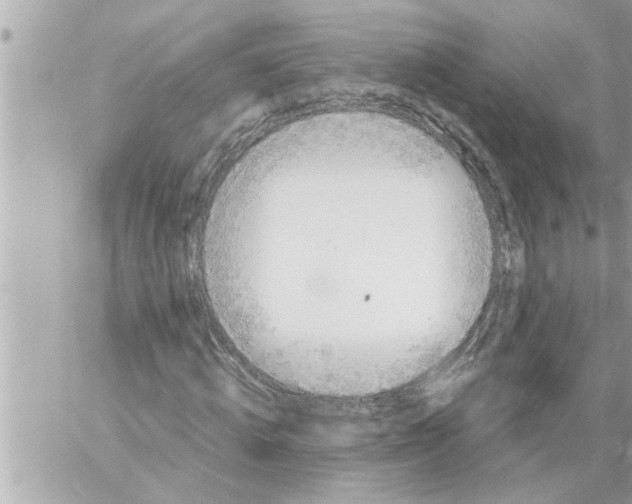 X0000059850820200511111808