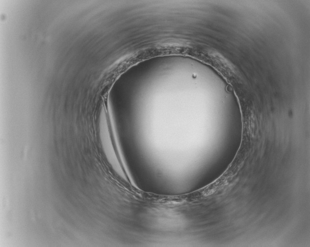 X0000059850821200511111808