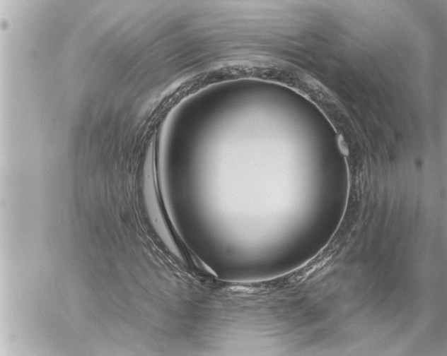 X0000059850822200511111809