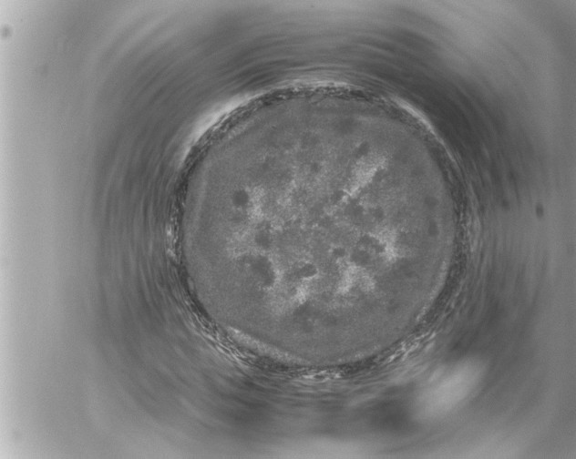 X0000059850823200511111809