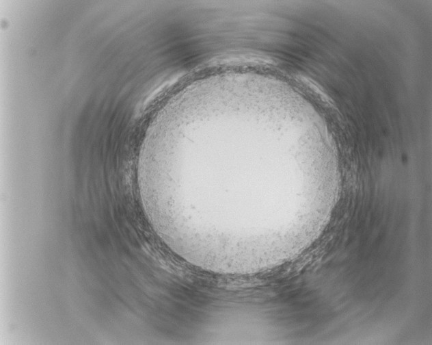 X0000059850824200511111809