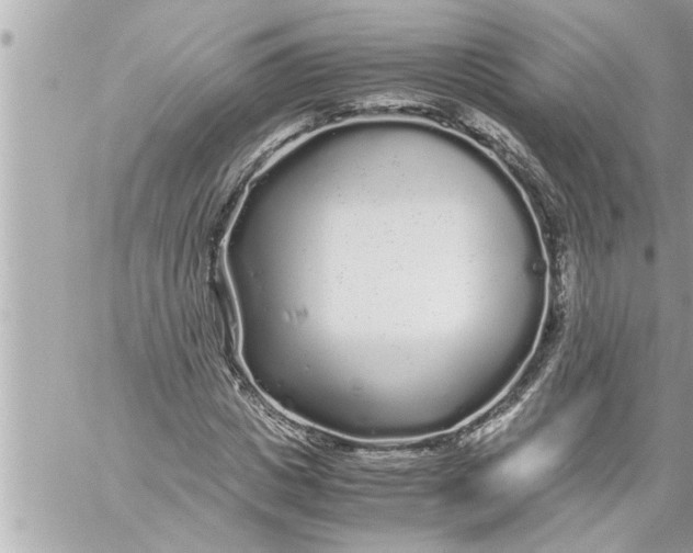 X0000059850825200511111809