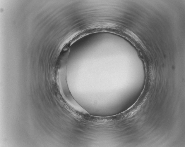 X0000059850826200511111809