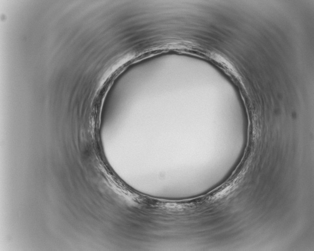 X0000059850827200511111809