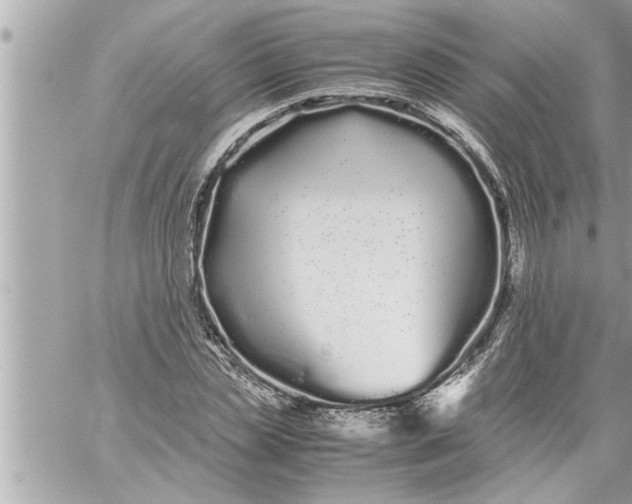 X0000059850829200511111809