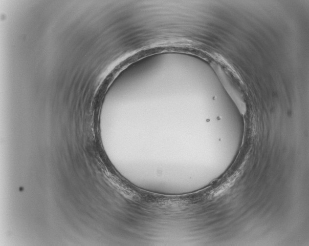 X0000059850830200511111809