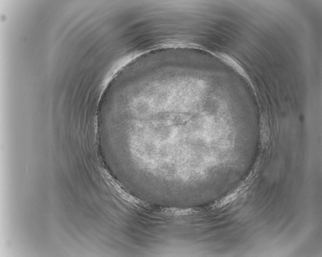 X0000059850831200511111809