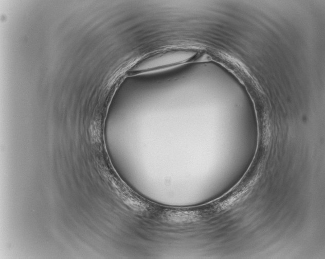 X0000059850833200511111809