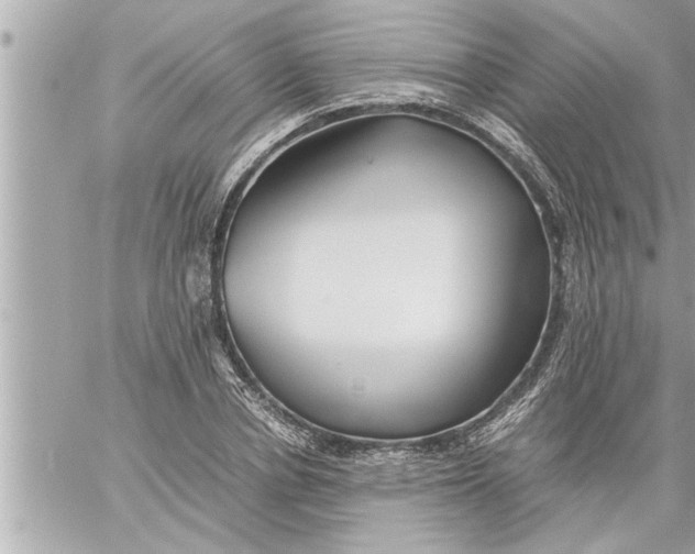 X0000059850834200511111809