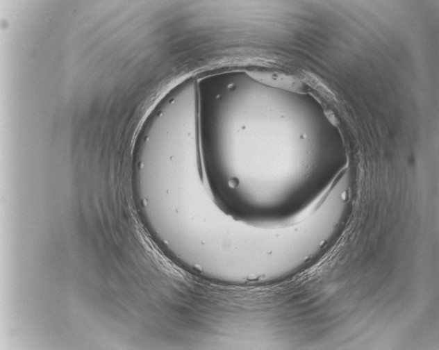 X0000059850836200511111809